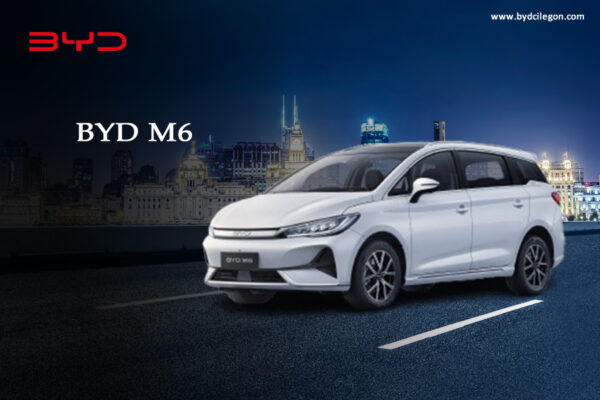 BYD M6